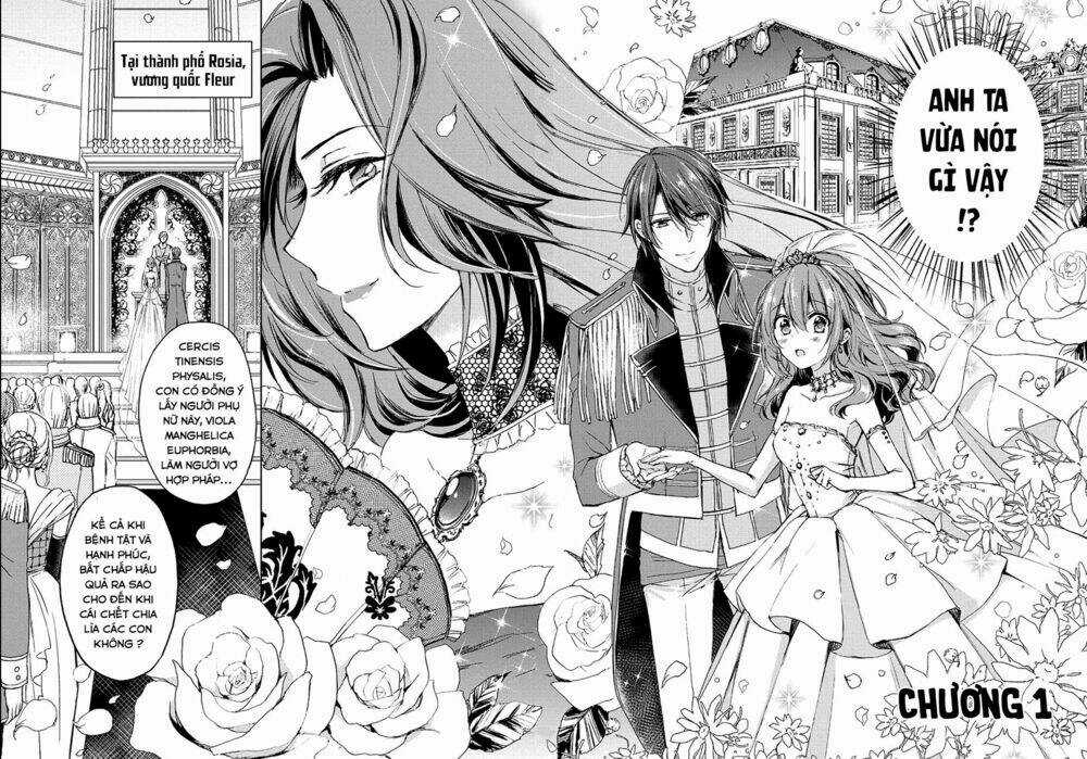 Dareka Kono Joukyou Wo Setsumei Shite Kudasai! Chapter 1 trang 2