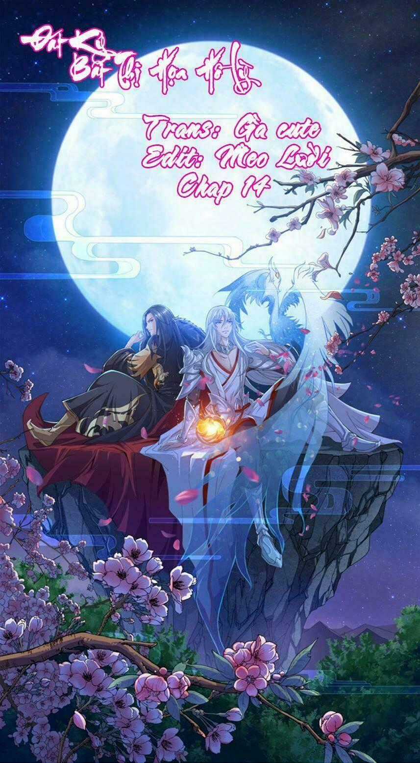 Đát Kỷ Bất Thị Họa Hồ Ly Chapter 14 trang 1
