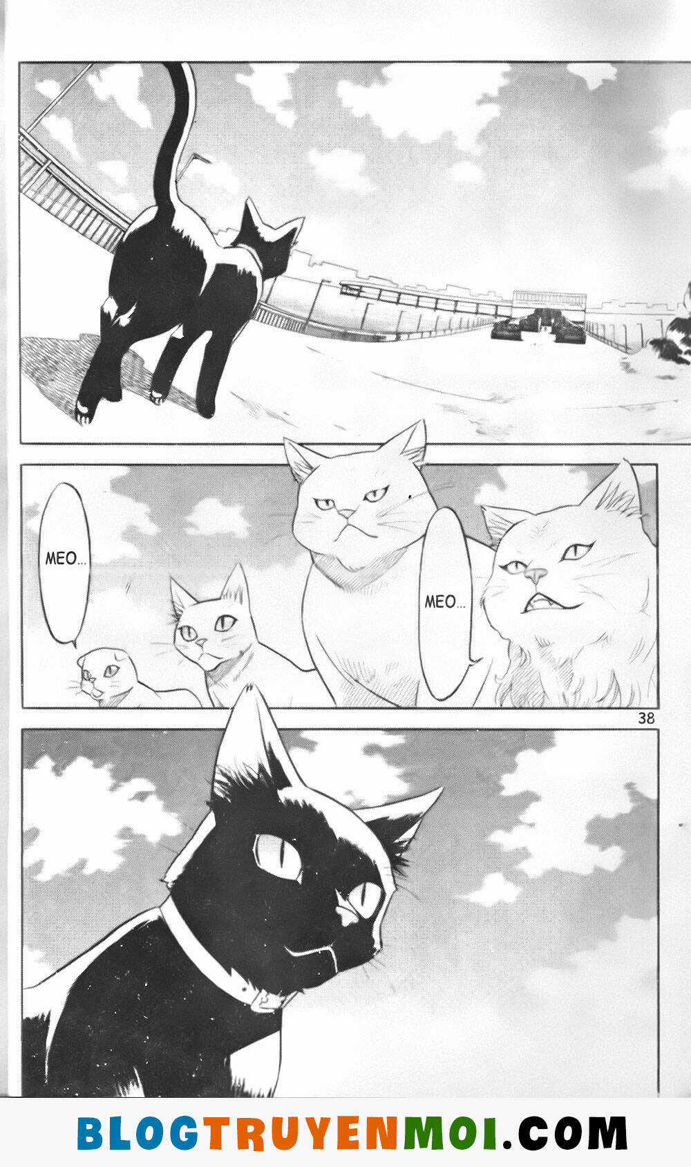 Đất Nước Mùa Xuân Chapter 29 trang 17