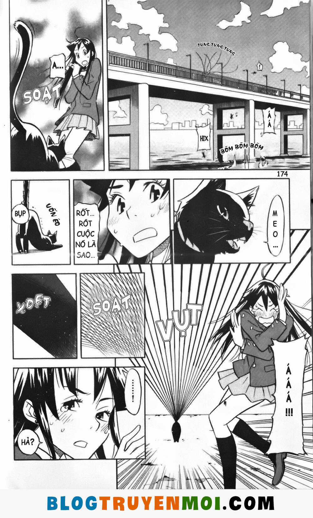 Đất Nước Mùa Xuân Chapter 7 trang 6