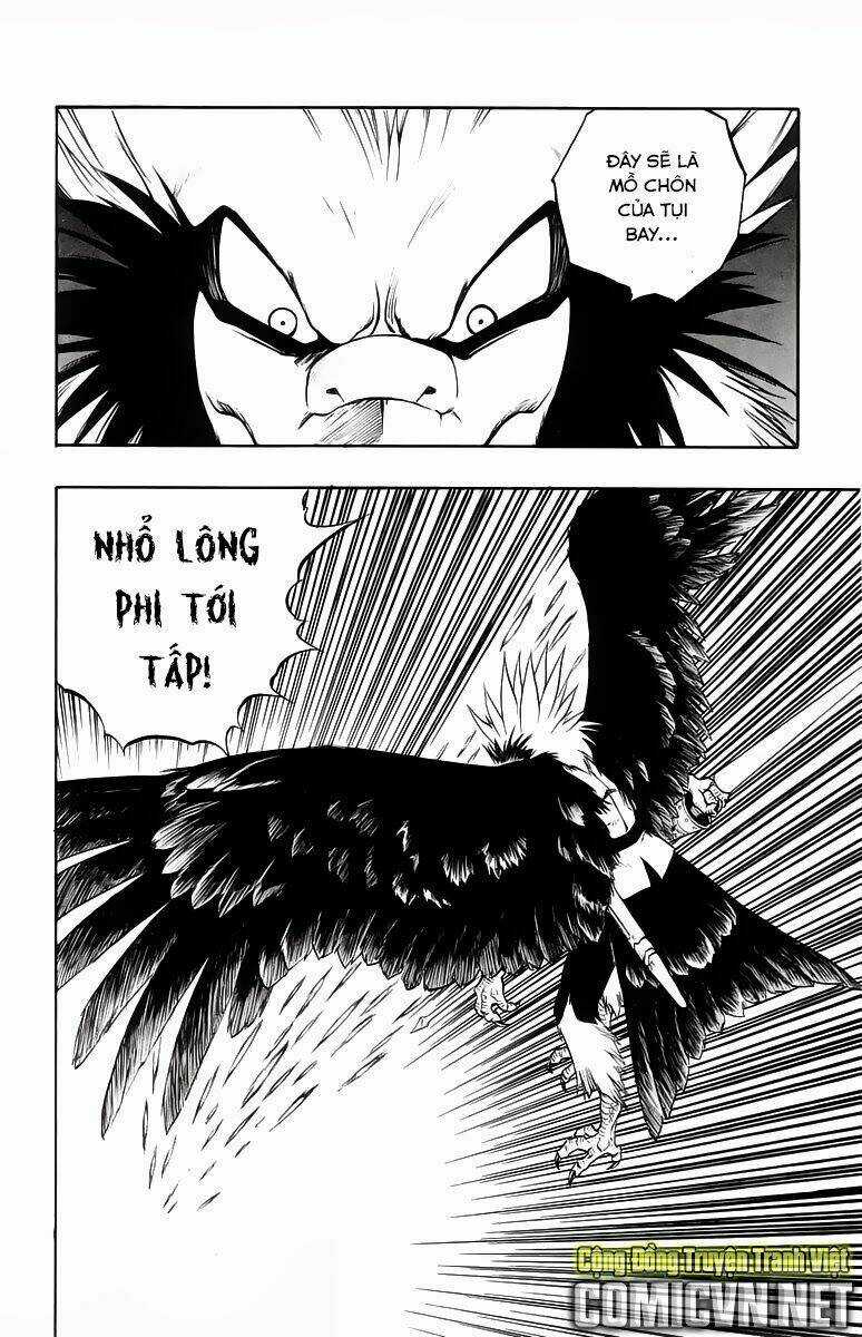 Dấu Ấn Rồng Thiêng II Chapter 28 trang 17