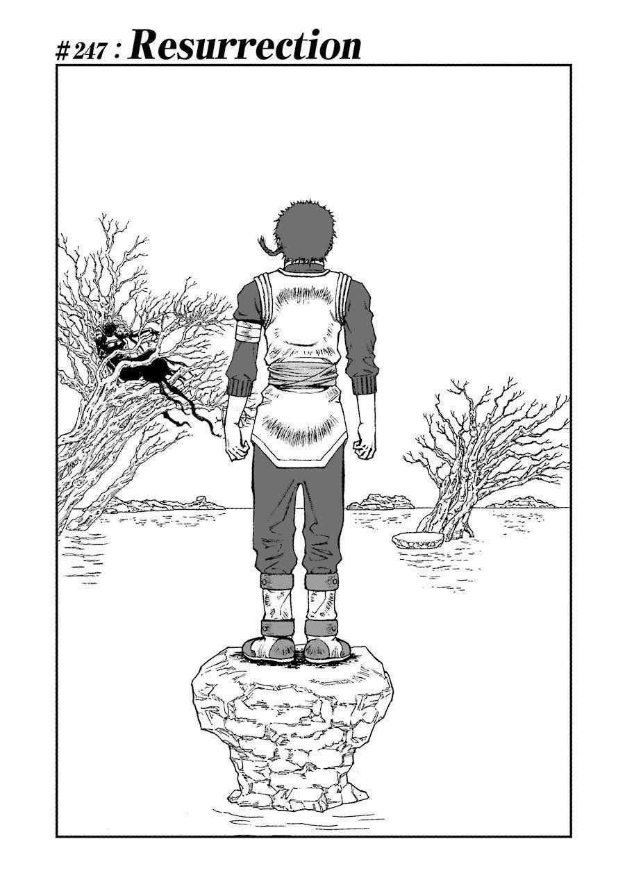 Dấu Ấn Rồng Thiêng - Người Kế Thừa Thánh Huy Chapter 247 trang 0