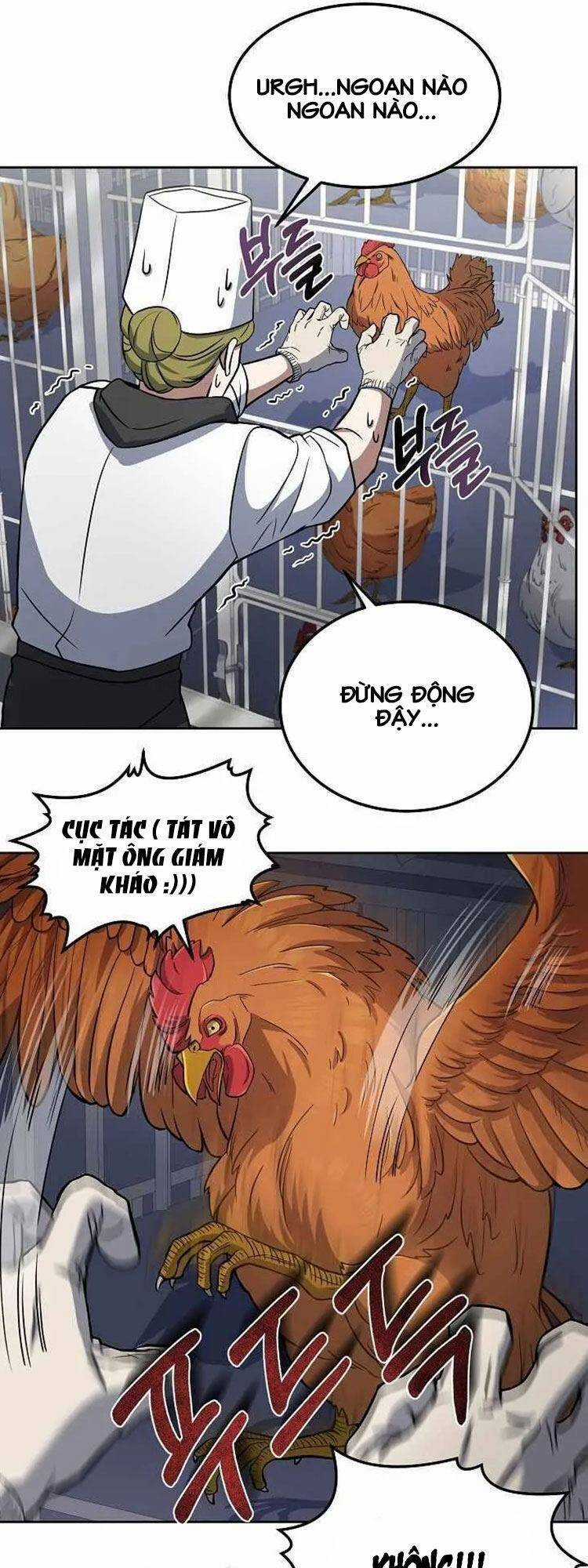 Đầu Bếp Trẻ Nhất Tới Từ Khách Sạn Hạng Ba Chương 21 trang 9