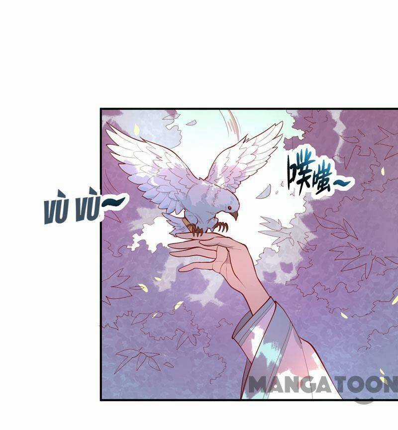 Đấu Chiến Thắng Phật Chapter 155 trang 28