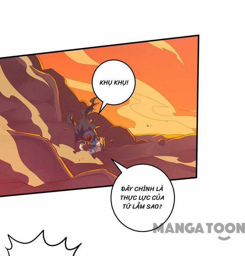 Đấu Chiến Thắng Phật Chapter 166 trang 14
