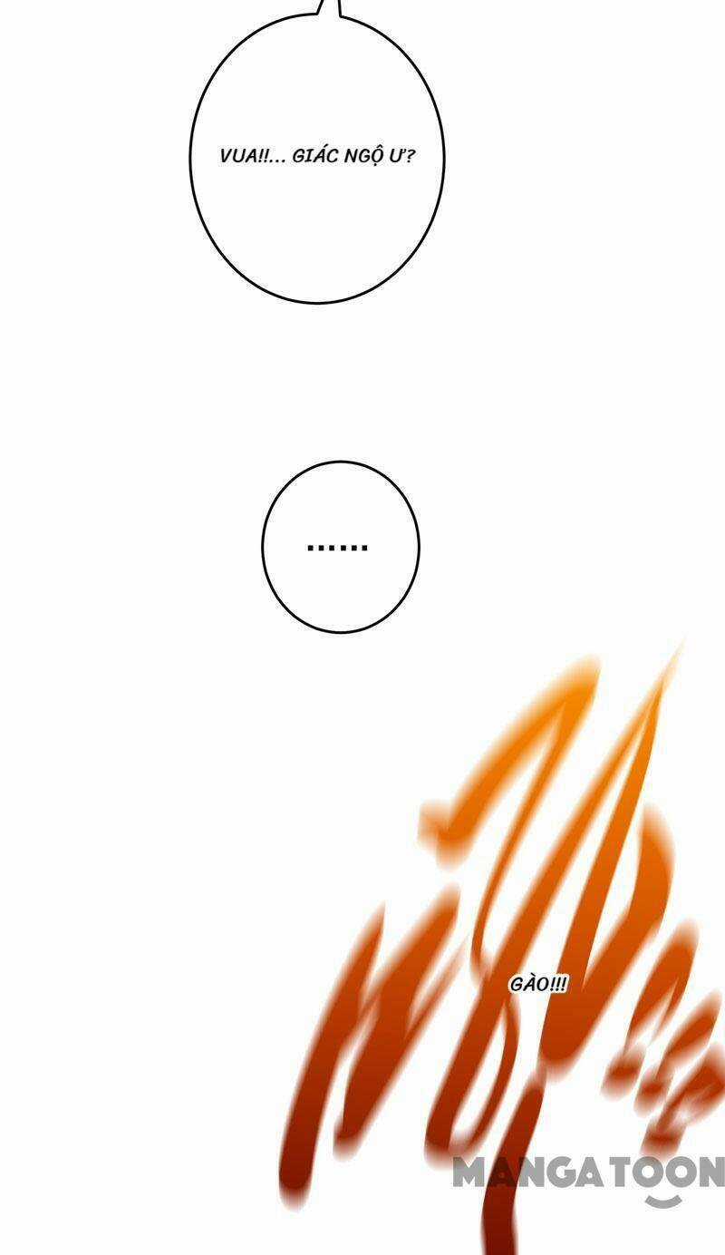 Đấu Chiến Thắng Phật Chapter 172 trang 14