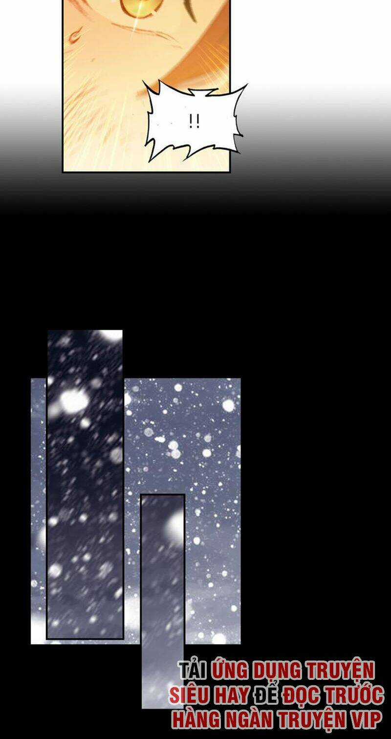 Đấu La Đại Lục Ngoại Truyện: Đường Môn Anh Hùng Chapter 70 trang 6