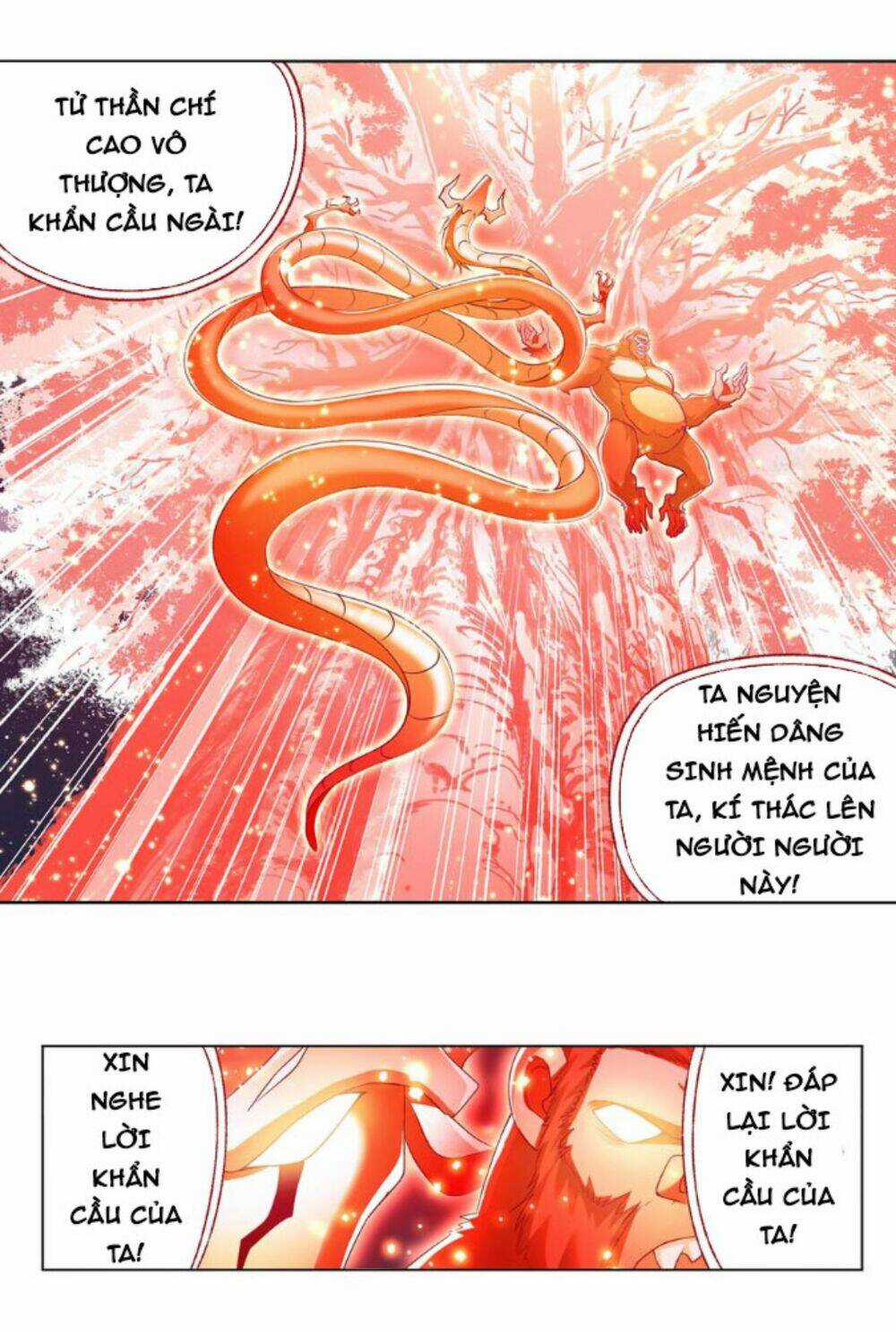 Đấu La Đại Lục Chapter 343 trang 13