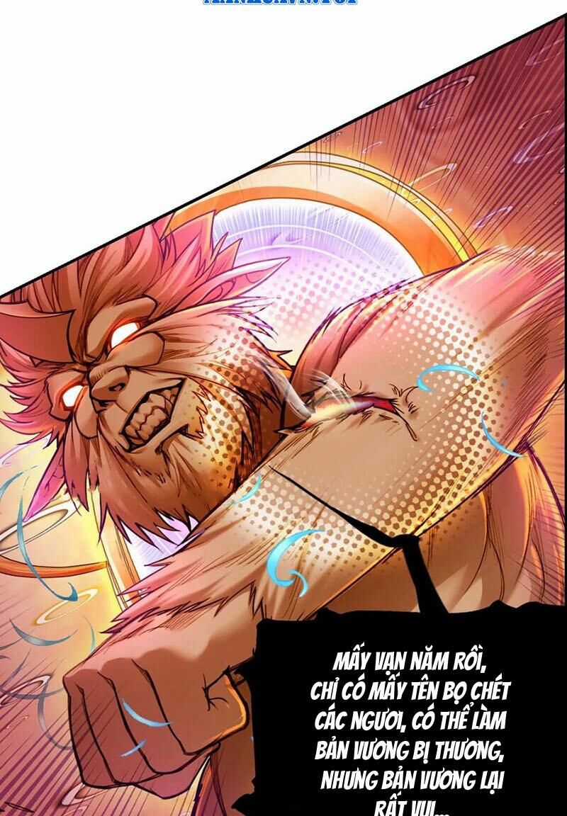 Đấu La Đại Lục Chapter 344.3 trang 11