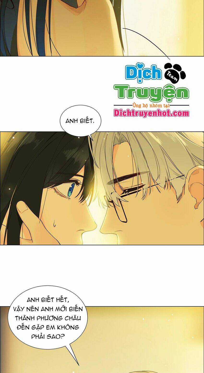 Đâu Phải Tại Tui Muốn Giả Gái Chapter 104 trang 9