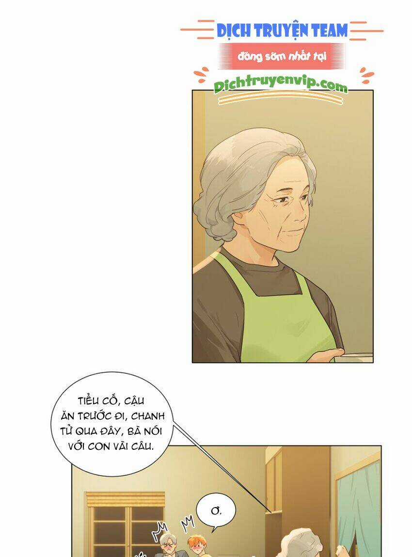 Đâu Phải Tại Tui Muốn Giả Gái Chapter 109 trang 31