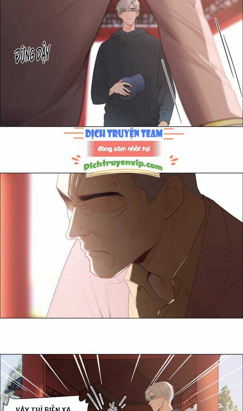 Đâu Phải Tại Tui Muốn Giả Gái Chapter 109 trang 5