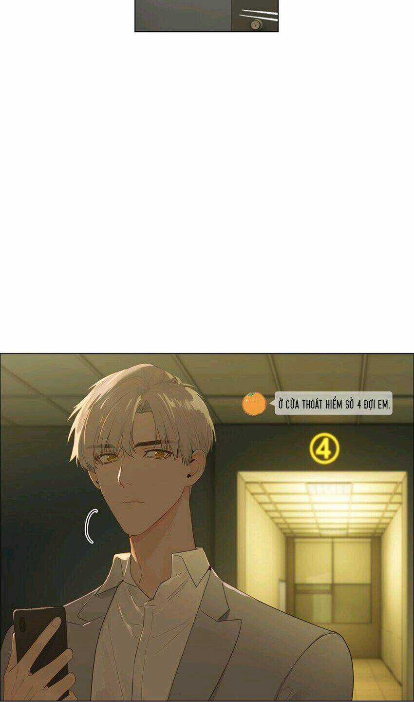 Đâu Phải Tại Tui Muốn Giả Gái Chapter 113 trang 32