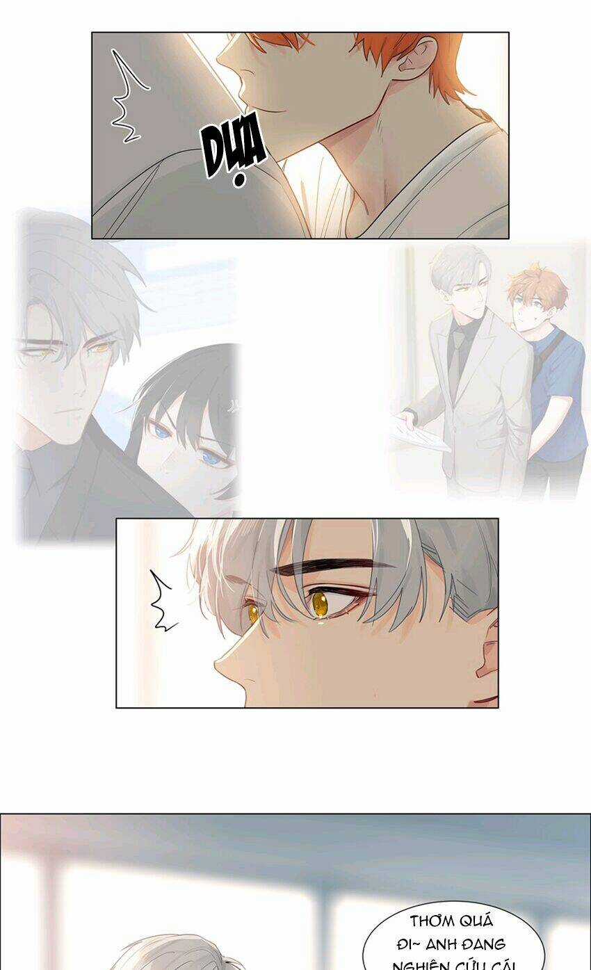 Đâu Phải Tại Tui Muốn Giả Gái Chapter 114 trang 28