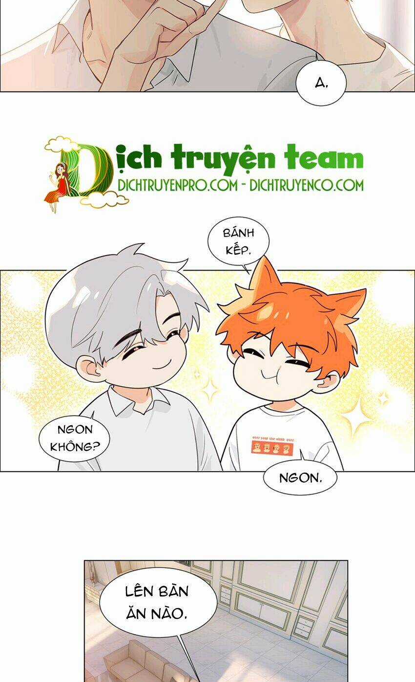 Đâu Phải Tại Tui Muốn Giả Gái Chapter 114 trang 30