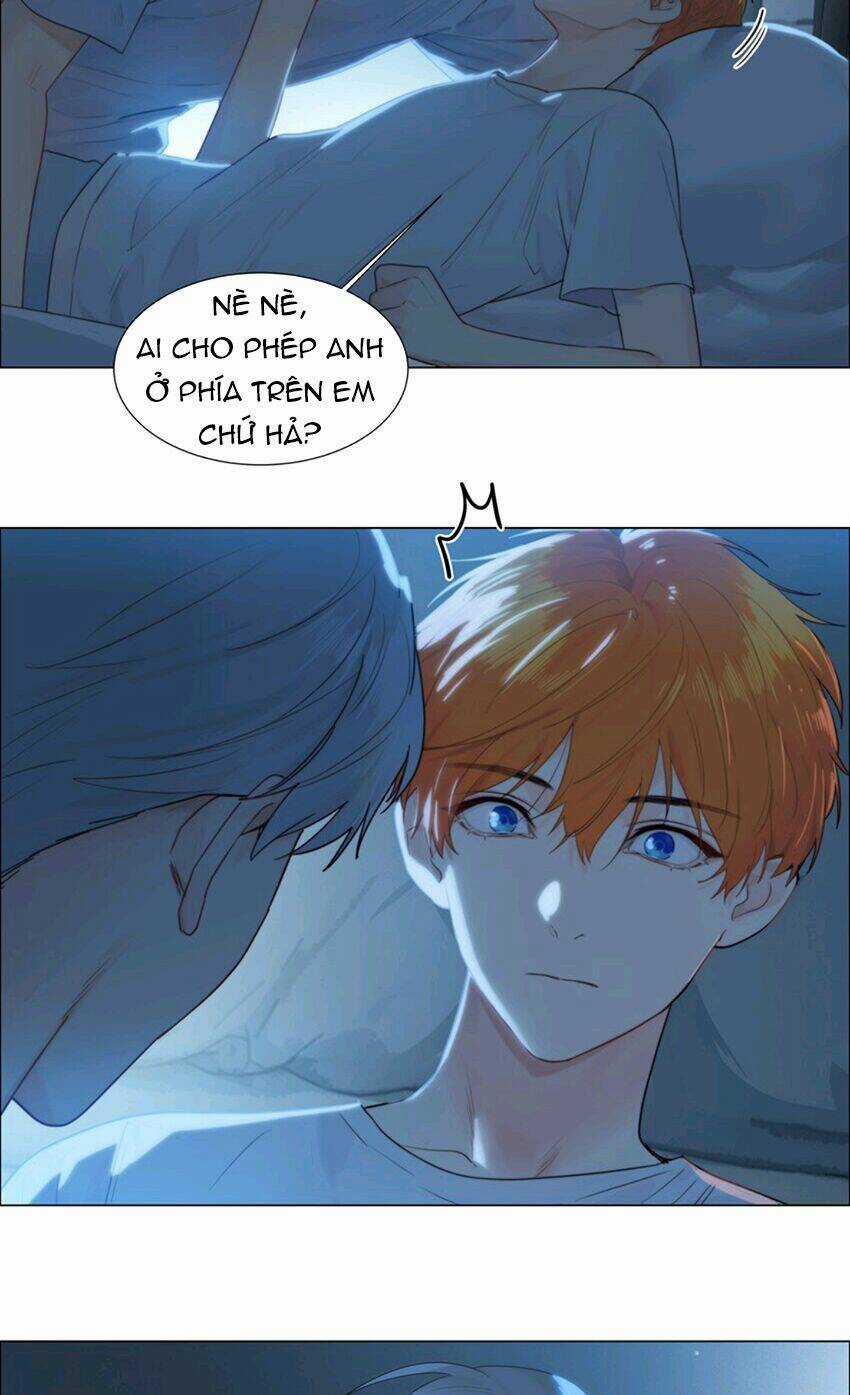 Đâu Phải Tại Tui Muốn Giả Gái Chapter 114 trang 5