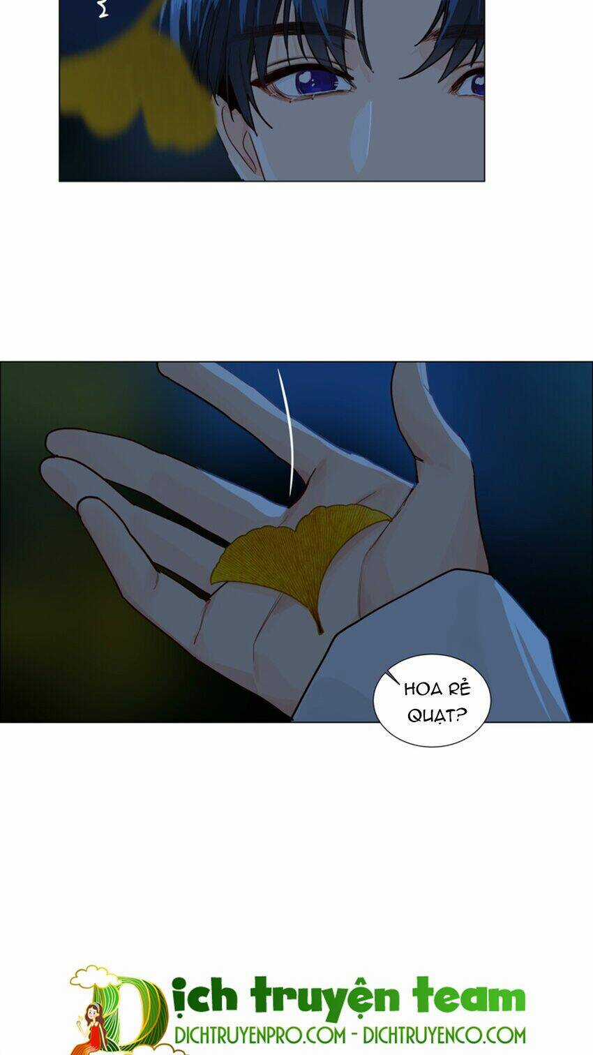 Đâu Phải Tại Tui Muốn Giả Gái Chapter 116 trang 12