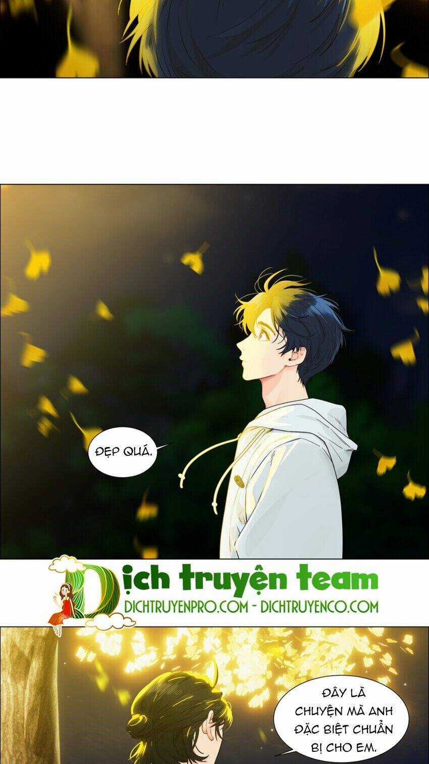 Đâu Phải Tại Tui Muốn Giả Gái Chapter 116 trang 15