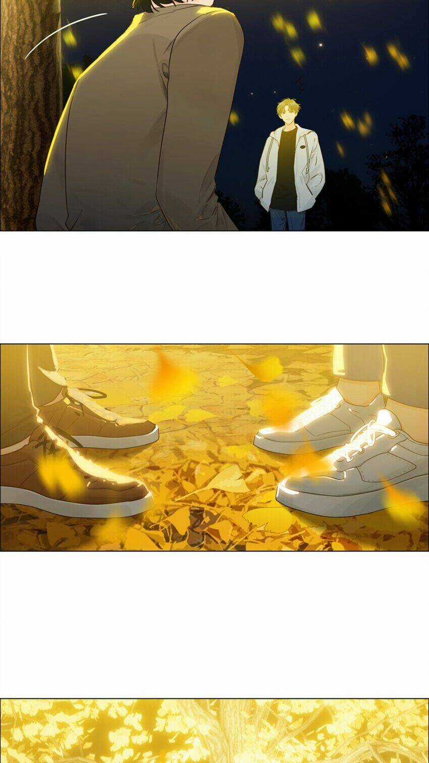 Đâu Phải Tại Tui Muốn Giả Gái Chapter 116 trang 16