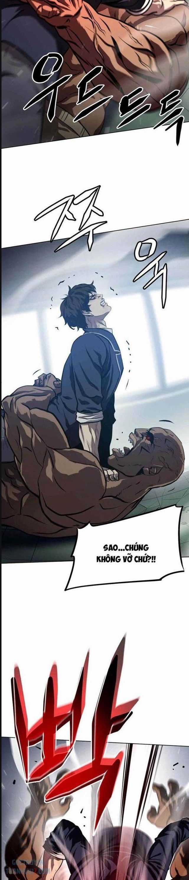 Đấu Trường Chiến Đấu Chương 2 trang 17