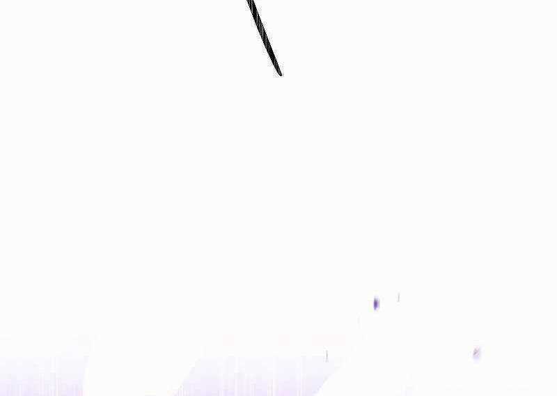 Đấu Trường Sinh Tử Chapter 110.5 trang 104