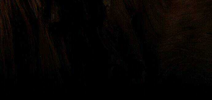 Dawn Of The Frozen Wastelands Chapter 1 trang 3