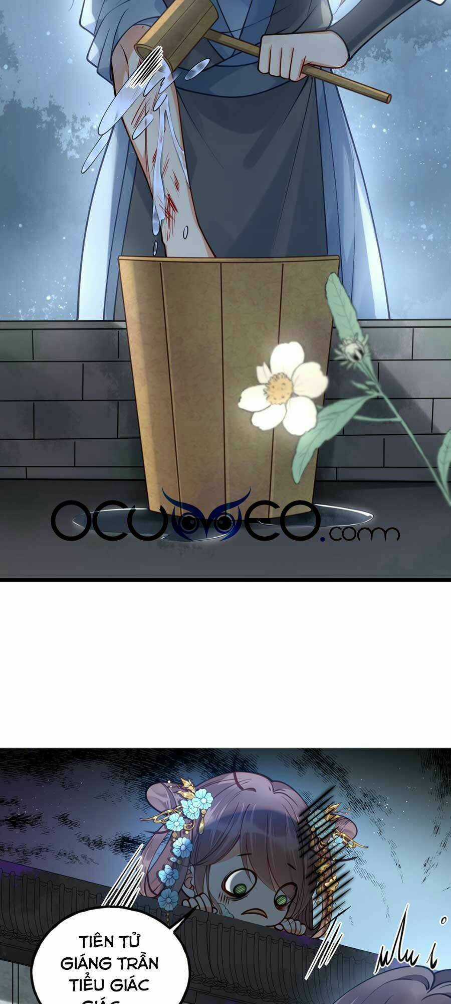 Đây Không Muốn Cung Đấu Mà Chapter 11 trang 16