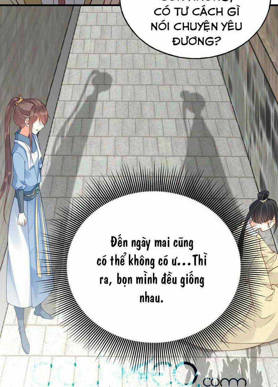 Đây Không Muốn Cung Đấu Mà Chapter 17 trang 24