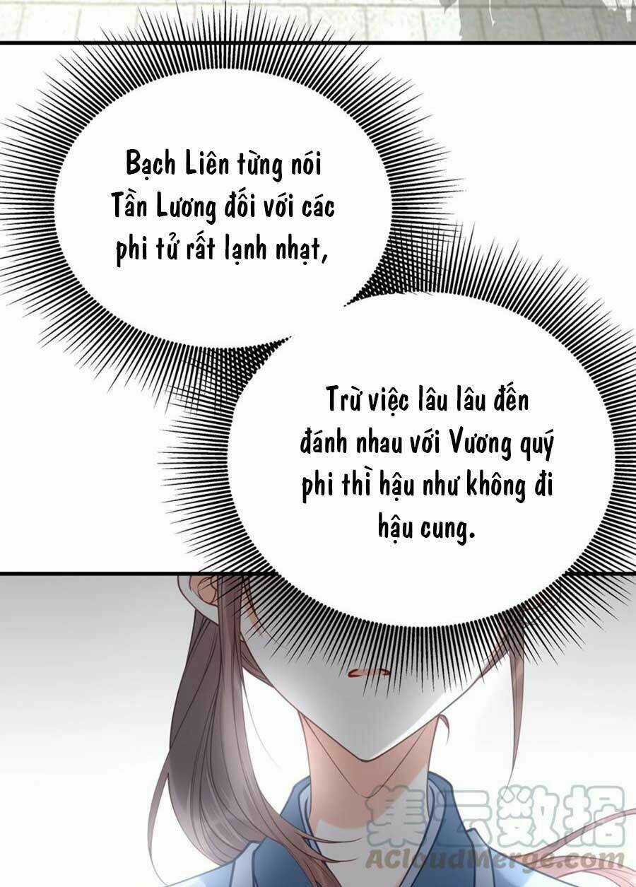 Đây Không Muốn Cung Đấu Mà Chapter 17 trang 25