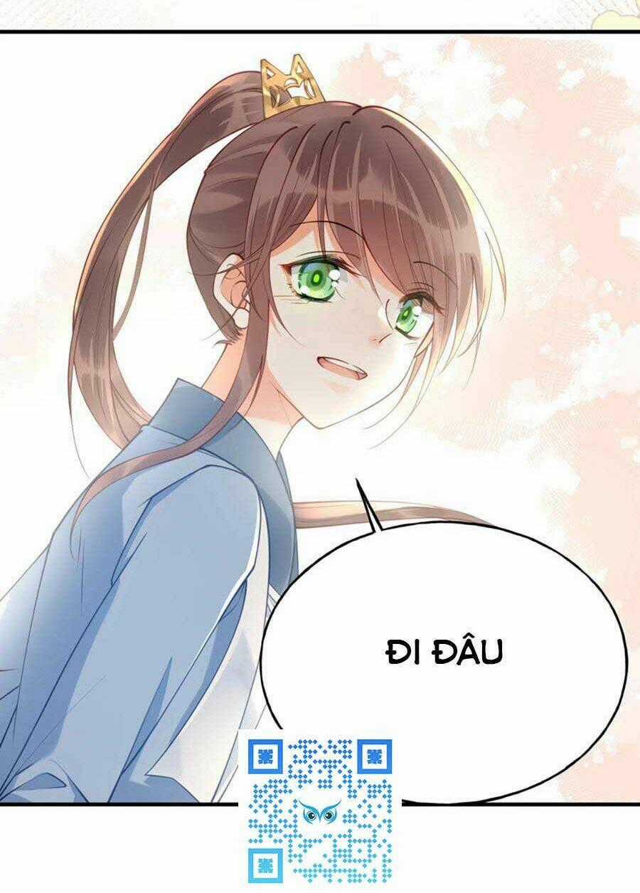 Đây Không Muốn Cung Đấu Mà Chapter 17 trang 30