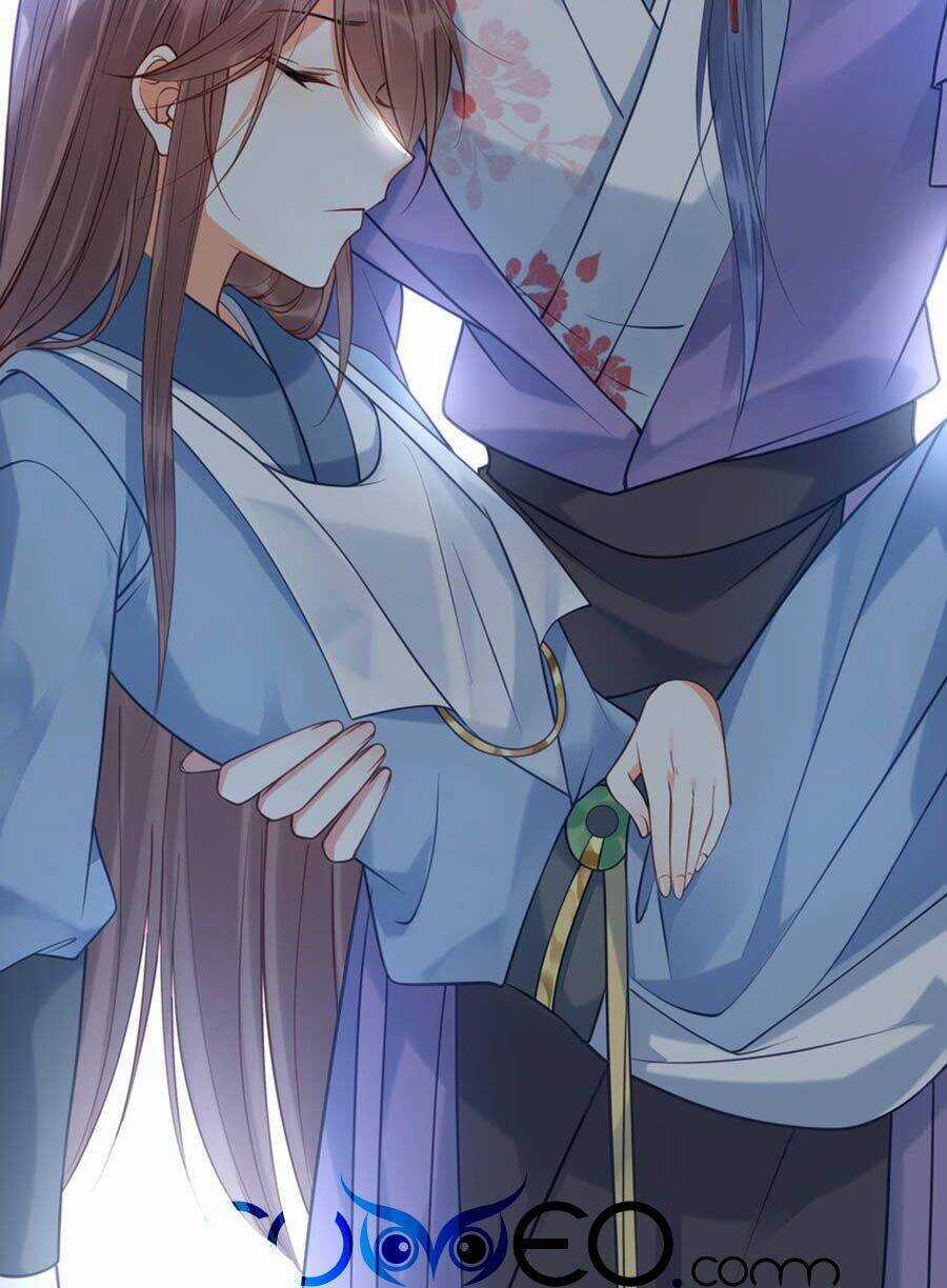 Đây Không Muốn Cung Đấu Mà Chapter 19 trang 19