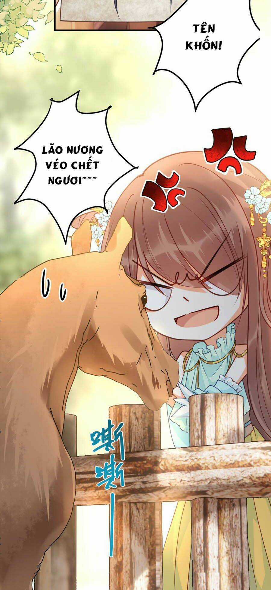 Đây Không Muốn Cung Đấu Mà Chapter 22 trang 11