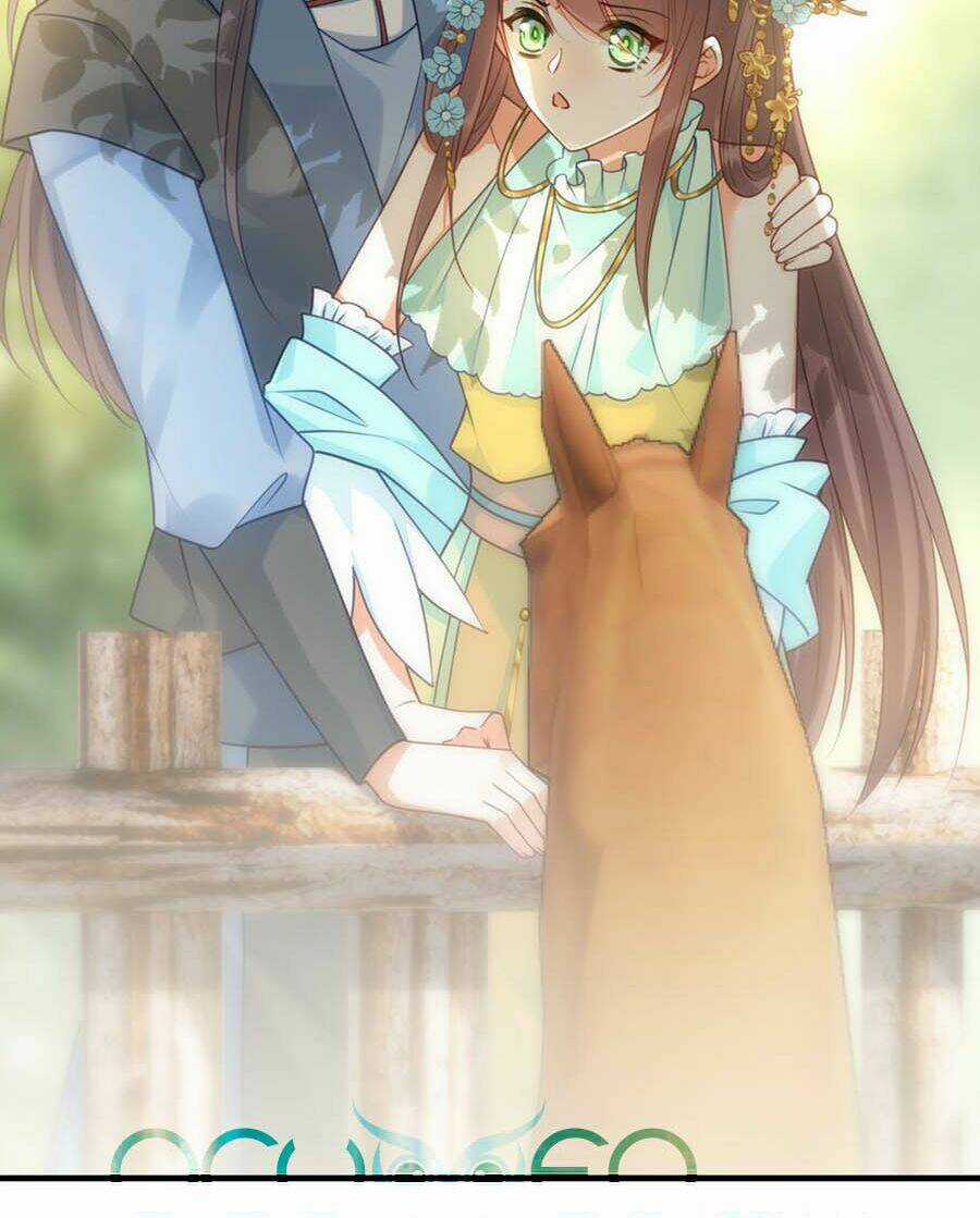 Đây Không Muốn Cung Đấu Mà Chapter 22 trang 13