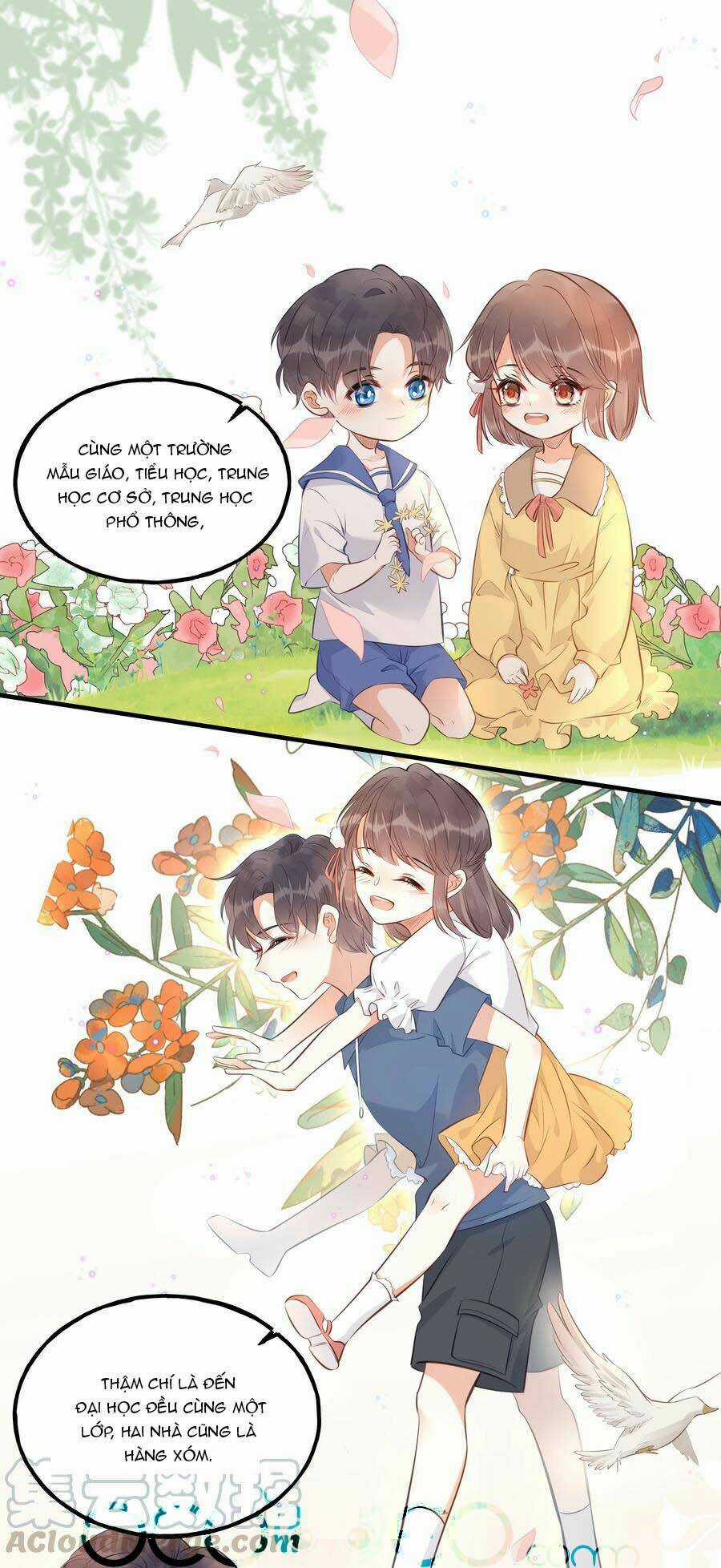 Đây Không Muốn Cung Đấu Mà Chapter 24 trang 27