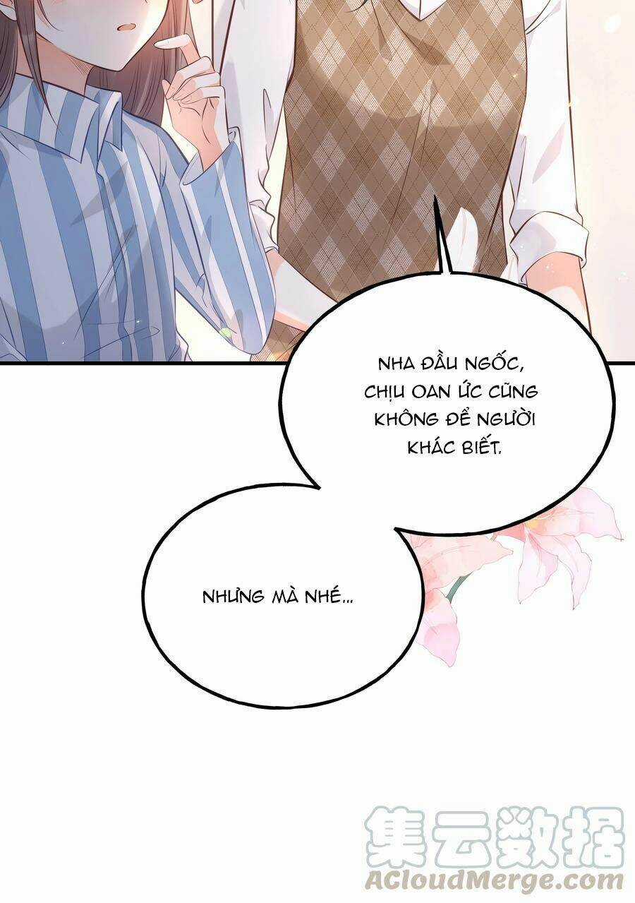 Đây Không Muốn Cung Đấu Mà Chapter 24 trang 6