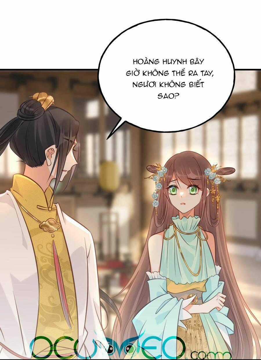 Đây Không Muốn Cung Đấu Mà Chapter 26 trang 43