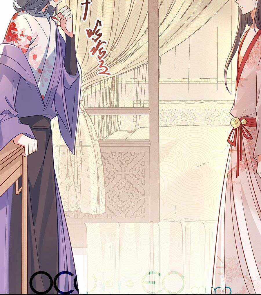 Đây Không Muốn Cung Đấu Mà Chapter 30 trang 43