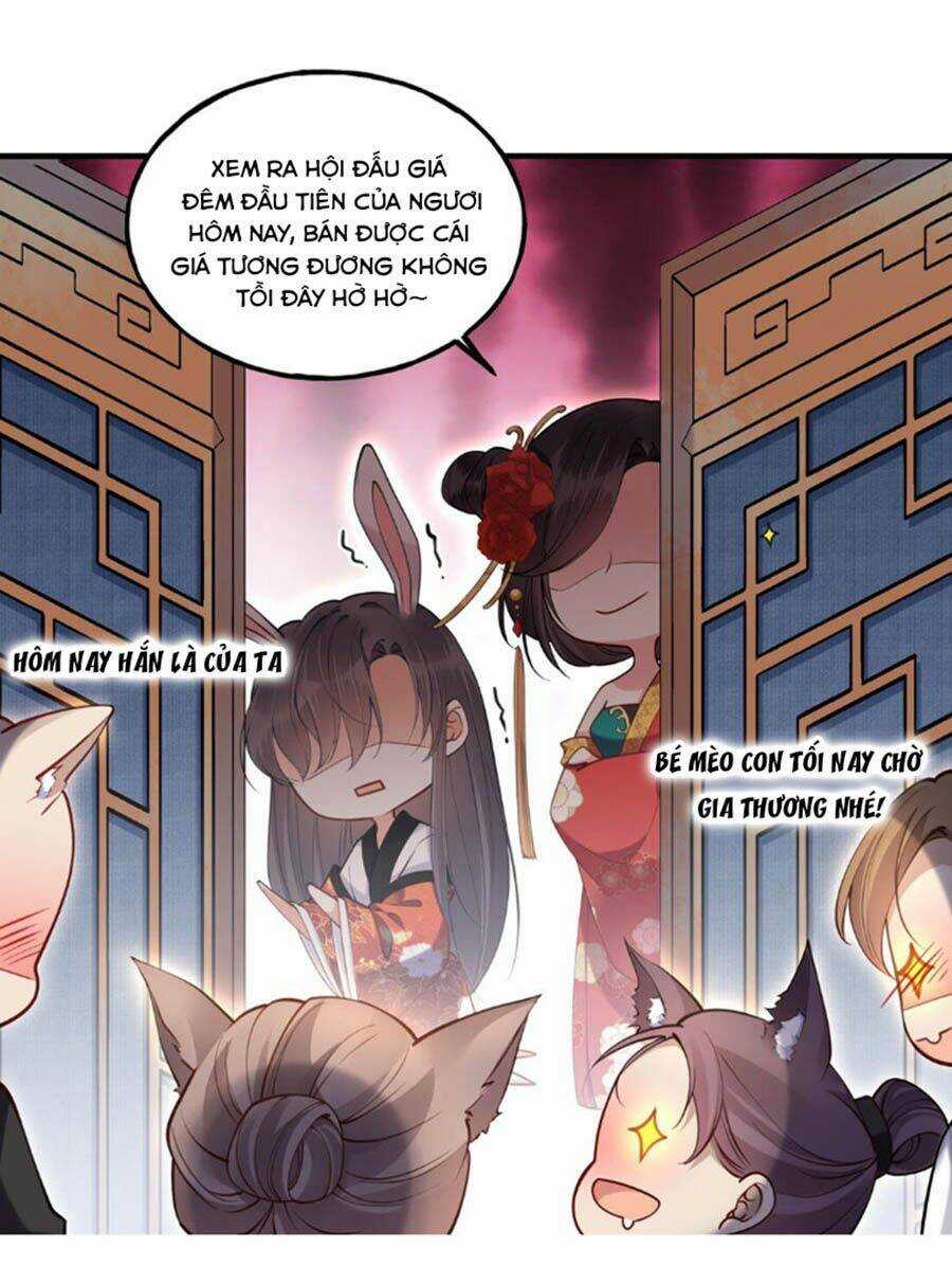 Đây Không Muốn Cung Đấu Mà Chapter 4 trang 17