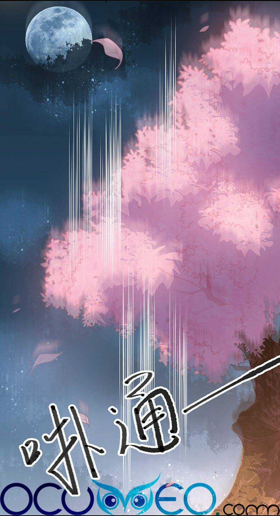 Đây Không Muốn Cung Đấu Mà Chapter 5 trang 11