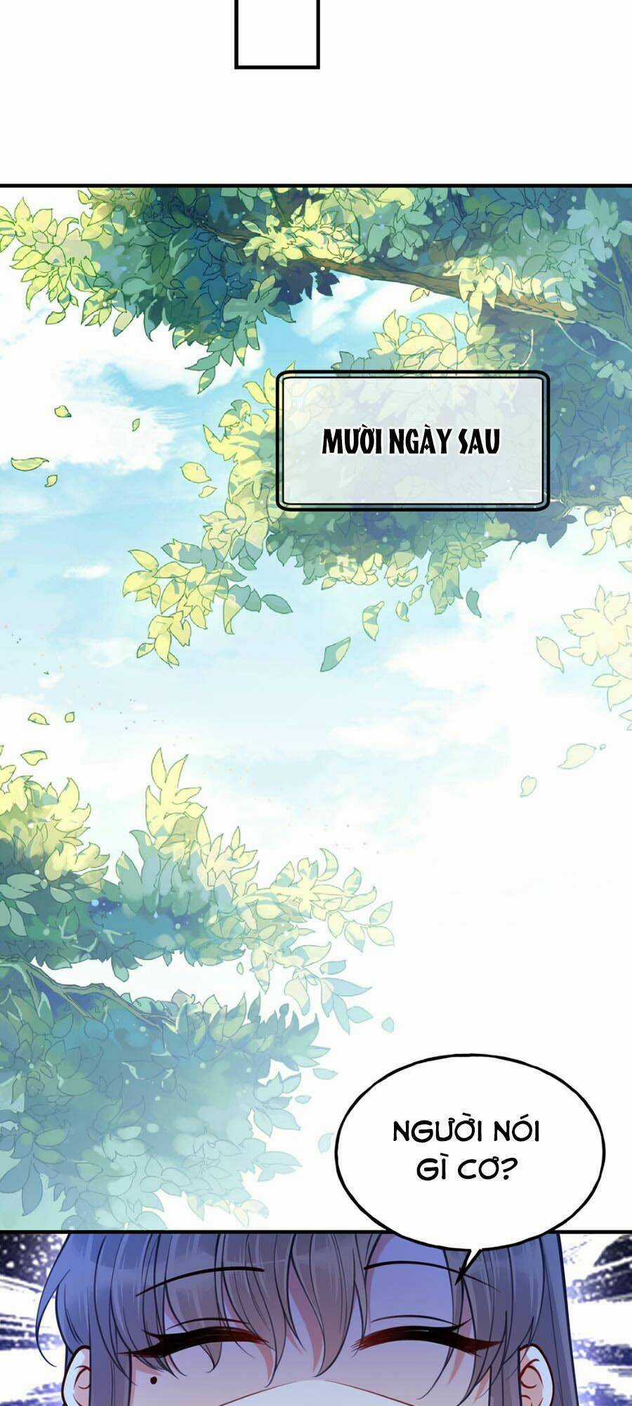 Đây Không Muốn Cung Đấu Mà Chapter 8 trang 29