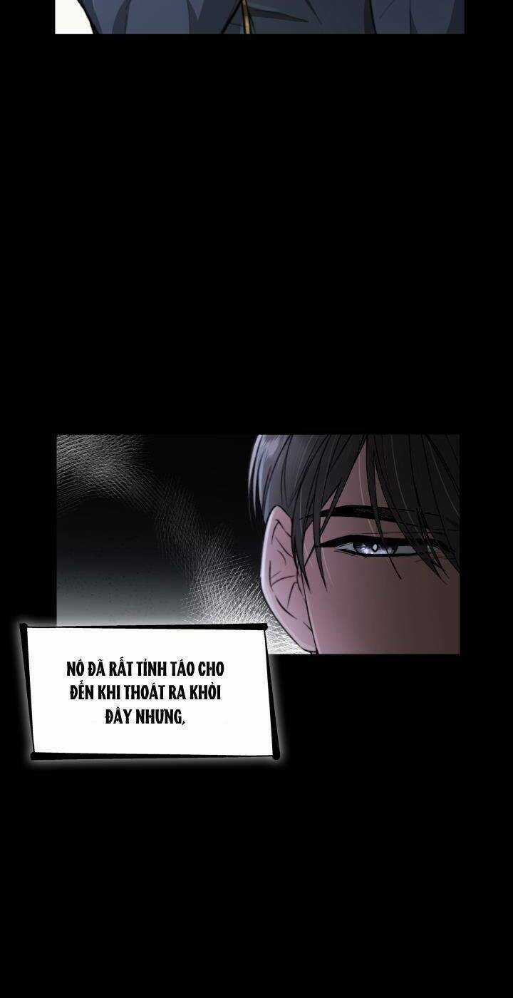 Dây Xích Kiềm Chế Nam Chính Hắc Ám Tuột Mất Rồi Chapter 52 trang 15