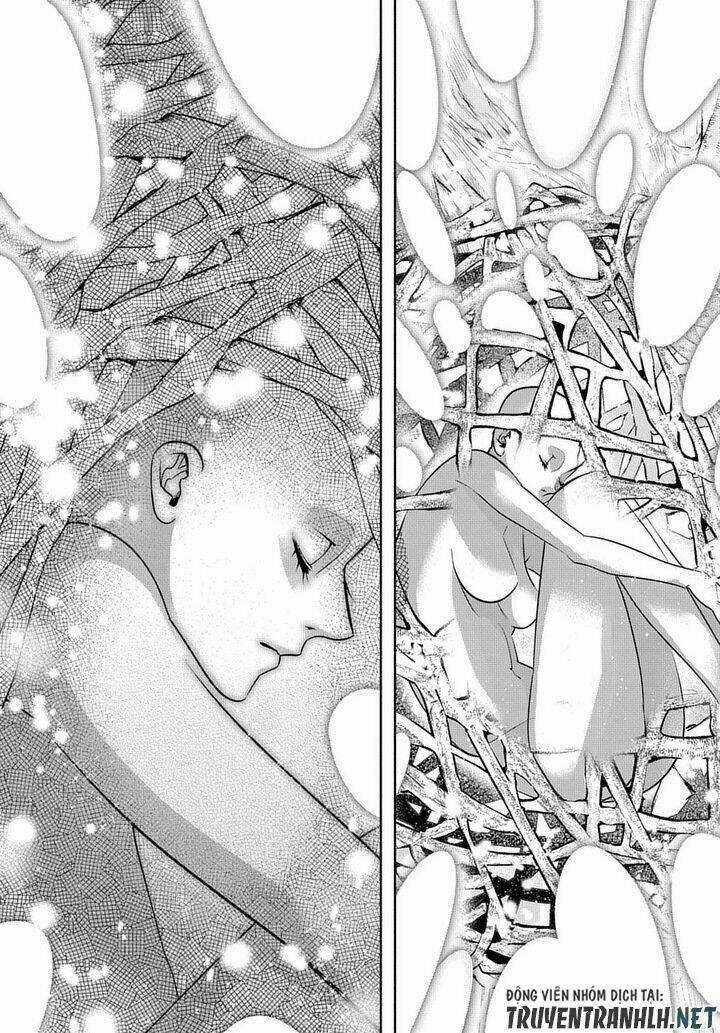 Đế Chế Diệt Vong Chapter 10 trang 14