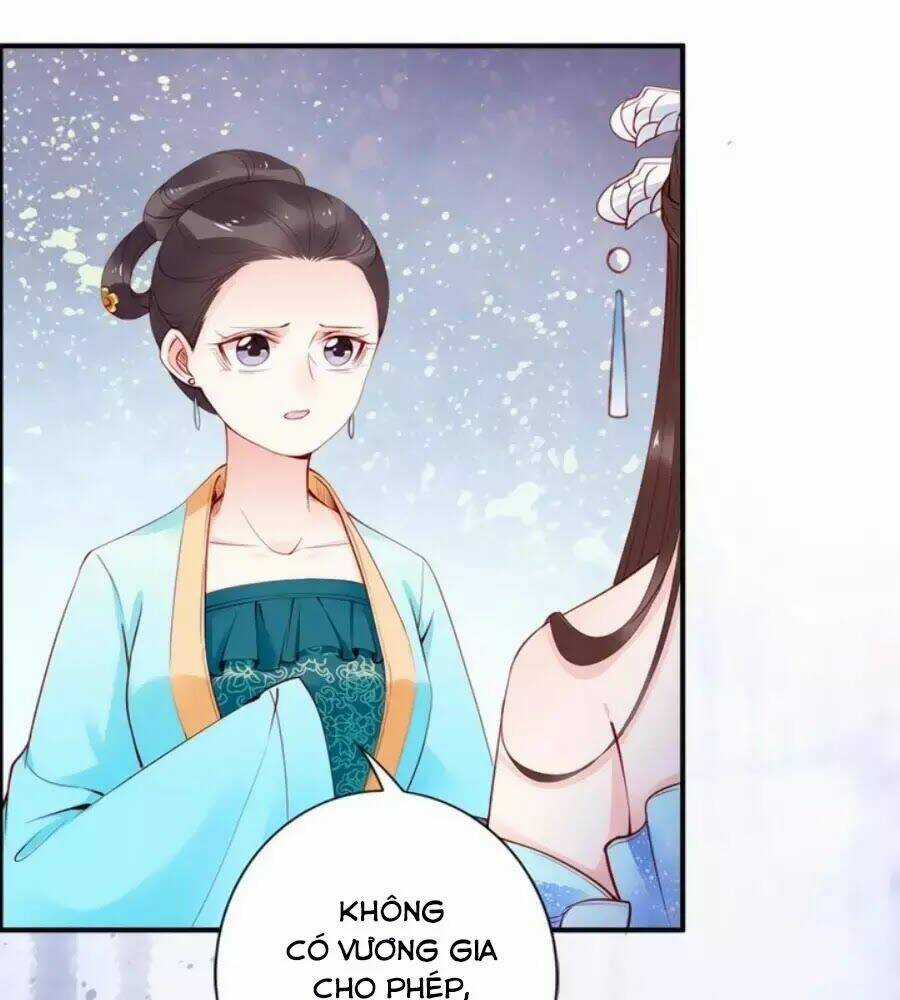 Đế Cung Đông Hoàng Phi Chapter 29 trang 17