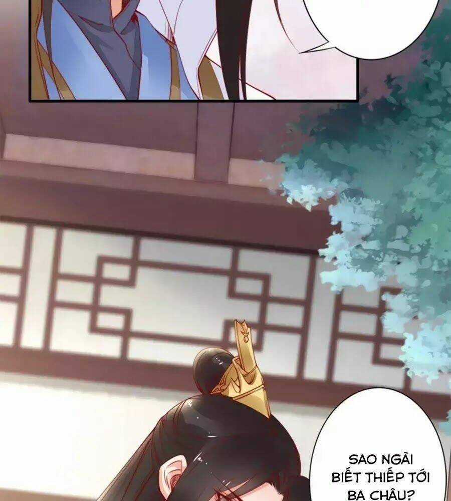 Đế Cung Đông Hoàng Phi Chapter 41 trang 9