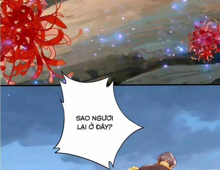 Đế Cung Đông Hoàng Phi Chapter 45 trang 11