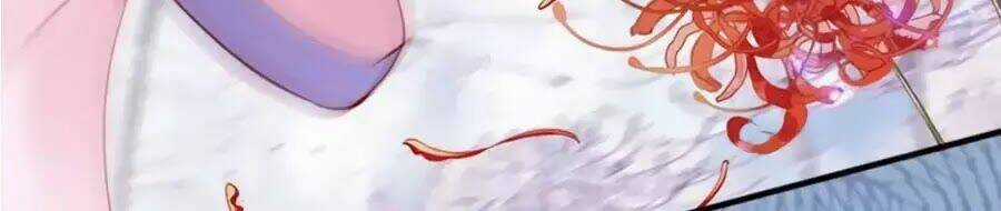 Đế Cung Đông Hoàng Phi Chapter 46 trang 17