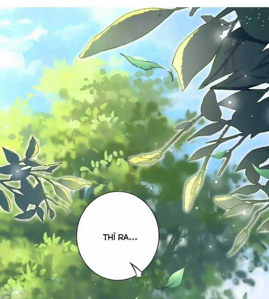 Đế Cung Đông Hoàng Phi Chapter 47 trang 43