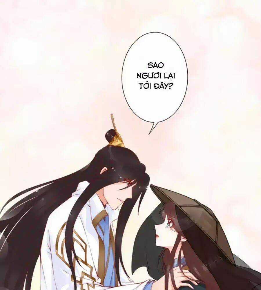 Đế Cung Đông Hoàng Phi Chapter 47 trang 47