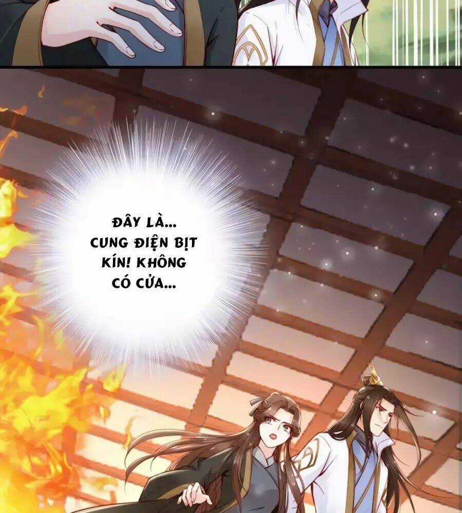 Đế Cung Đông Hoàng Phi Chapter 49 trang 12