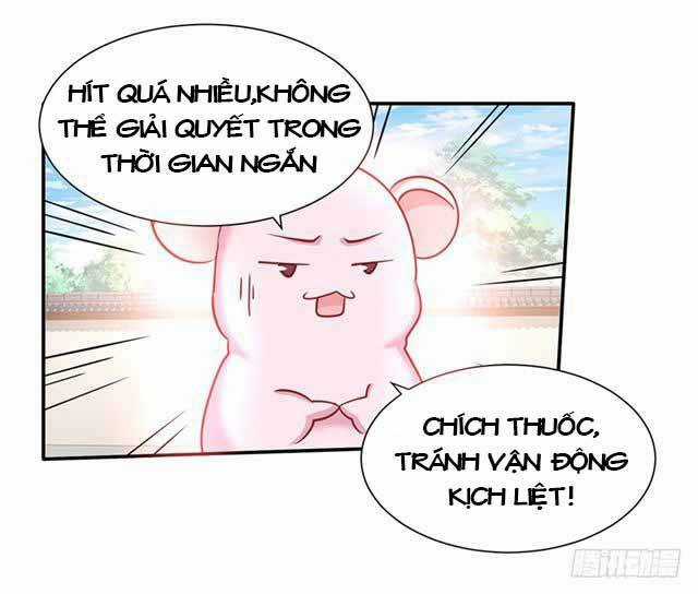 Đế Hoàng Chi Thần Y Khí Phi Chapter 24 trang 10